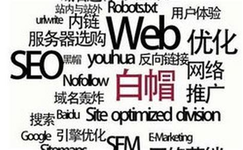 【湖南企业网站收录】怎样使用搜索引擎查找信息-靠得住网络