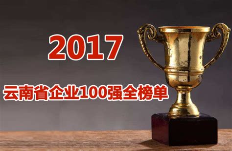 2017云南省企业100强全榜单发布-云南软件开发公司