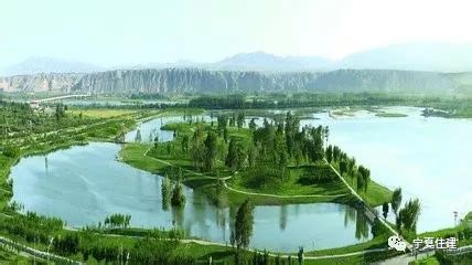 中卫市中宁县推进绿化景观建设提升城市颜值_大街