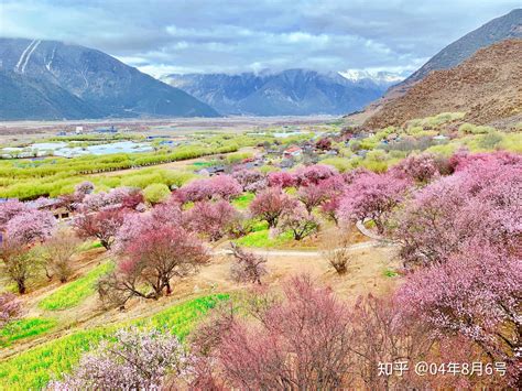 西藏地理丨春天林芝的样子
