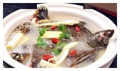 红烧泡椒甲鱼怎么做 红烧甲鱼做美味的做法_知秀网