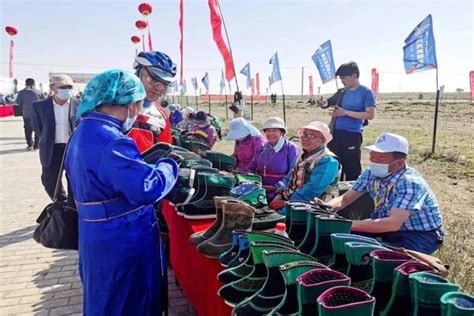 内蒙古鄂托克前旗拟建250MW光伏制氢项目-制氢--国际氢能网