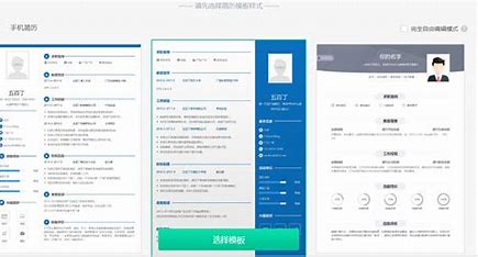 西安网站优化简历设计公司 的图像结果