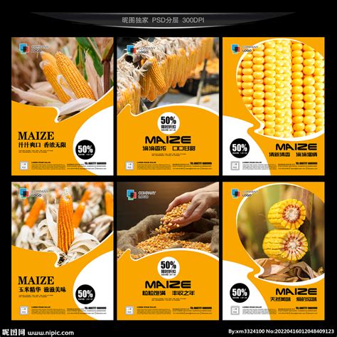 敦玉20 玉米种子设计图__海报设计_广告设计_设计图库_昵图网nipic.com