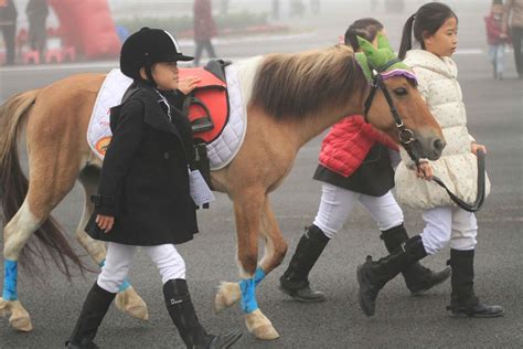 温江区举行特殊儿童关爱活动 孩子们与马儿互动游戏_区县聚焦_成都频道_四川在线