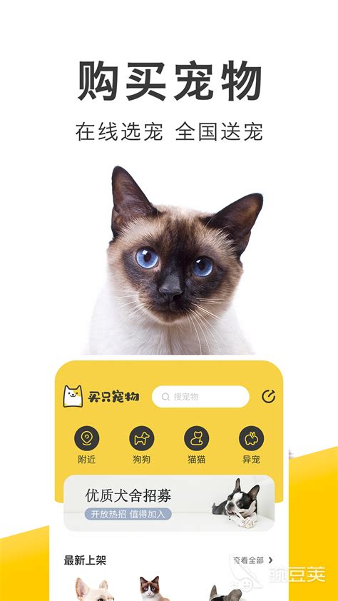 专门卖宠物的app合集2022 专门卖宠物的app推荐_豌豆荚