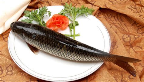 入秋后，胶东人最爱吃这鱼，肉多刺少味道鲜_原创_新浪众测