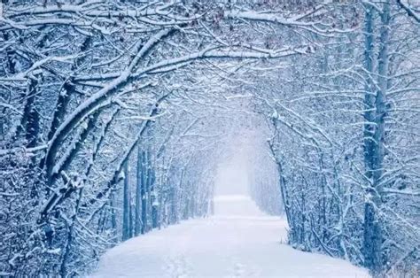 下雪有意境的唯美描写（表达下雪后的心情）内含图片_青通社