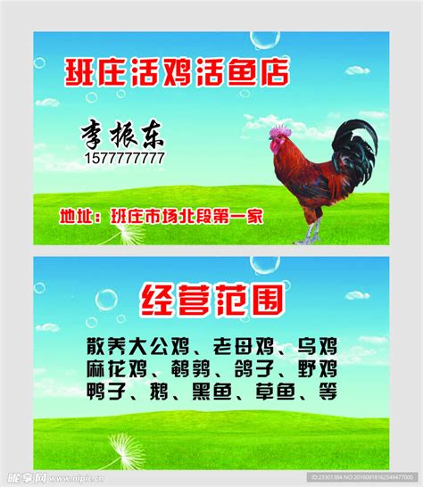活鸡活鱼店名片设计图__广告设计_广告设计_设计图库_昵图网nipic.com
