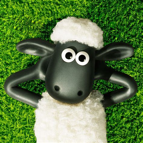 《小羊肖恩》 Shawn the sheep 动画全1-5季共140集+音频 - 网课资料网