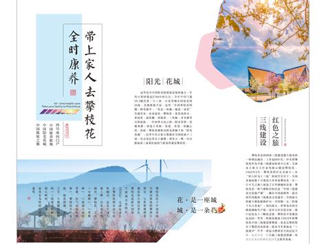攀枝花市政宣传报纸版面设计_锦鹿文化创意-站酷ZCOOL