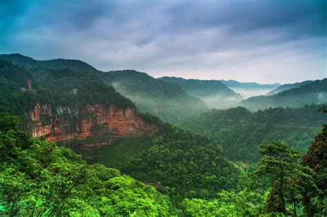 重庆五里坡自然保护区跻身世界自然遗产地-馨苗绿化