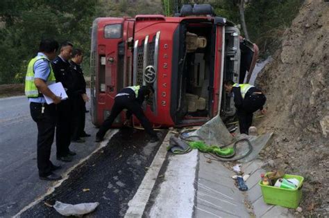 高清图：厦蓉高速发生重大交通事故已致11死- 中国日报网