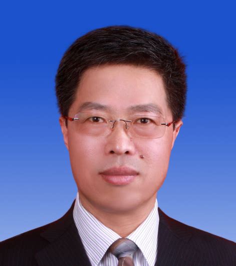 中国驻几内亚比绍大使王华通过人民网向全国人民和海外华侨华人祝贺新春--国际--人民网
