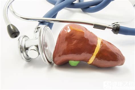 怎么检查肝脏是否有问题_有来医生