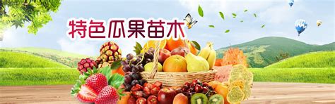 重庆凯扬农业开发有限公司