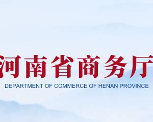 河南政务服务网