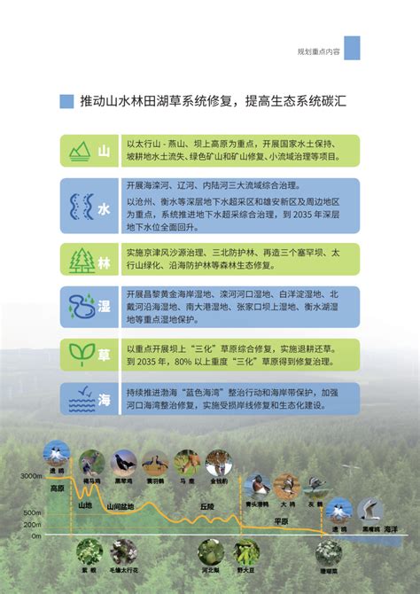 河北青县绿地系统规划
