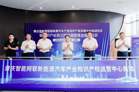 新媒体运营交流会在深圳湾（肇庆）新经济加速器举行