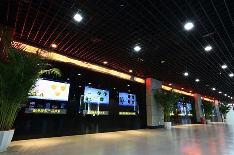 重庆市服务业扩大开放综合试点示范创建授牌仪式