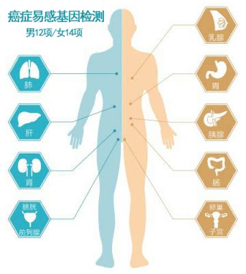 女性癌症易感基因检测15选1：北京基因树精准健康管家