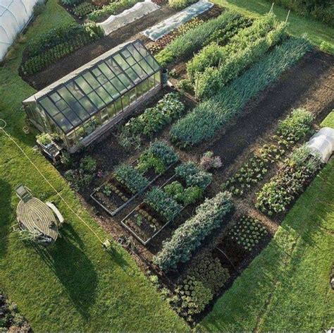 想在花园里种菜，23个花园式菜园案例和蔬菜植物搭配清单值得收藏 - 成都青望园林景观设计公司