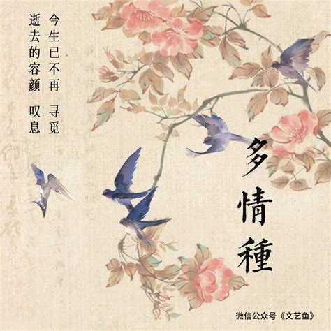 胡杨林《多情种》免费高清简谱 流行弹唱网
