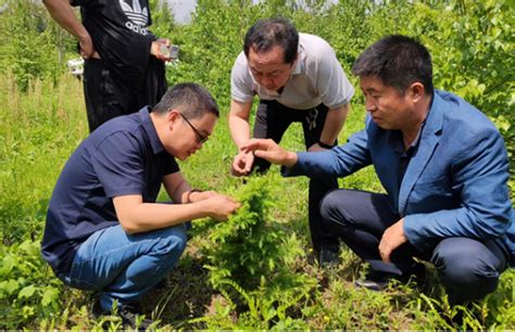 吉林省林木种苗管理站 开展2022年林木种苗质量抽查工作