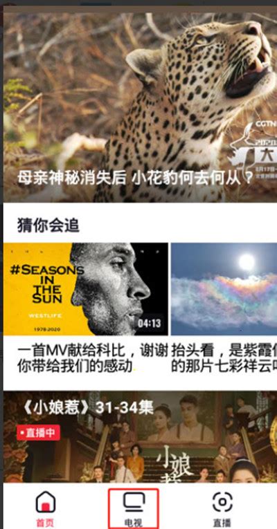 直播卫星平台12月1日起增加东南卫视高清频道 | DVBCN