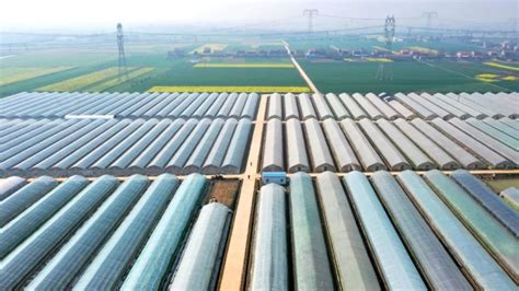 荆州区：打造“种养结合”绿色循环生态农业 助力乡村振兴