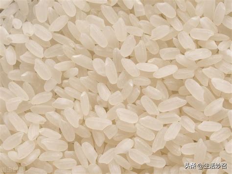 常见的大米品种有哪些？哪些属于粳米哪些属于籼米？各有什么特点呢？ - 知乎