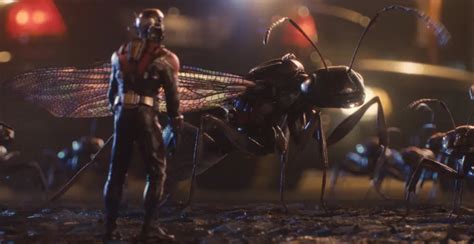 《蚁人3》发布首支预告 将于2023年2月17日北美上映 - 中国模特网