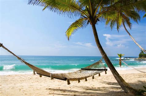beach, Summer, Tropical, Sea, Nature, Landscape, Caribbean, Palm Trees ...