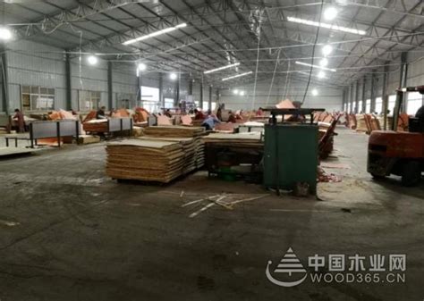 江苏邳州官湖镇木业产业集聚呈爆发式增长-木业网