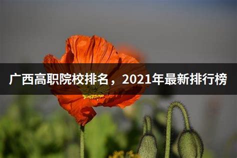 广西高职院校排名，2021年最新排行榜 - 高职高考网