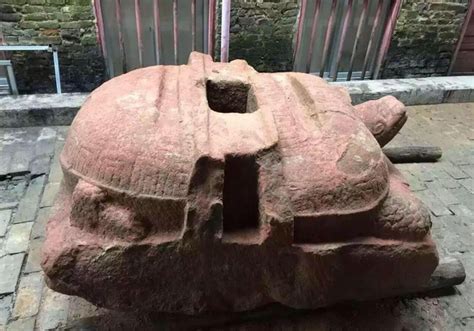 龙川佗城工地意外挖出4吨重石龟——人民政协网