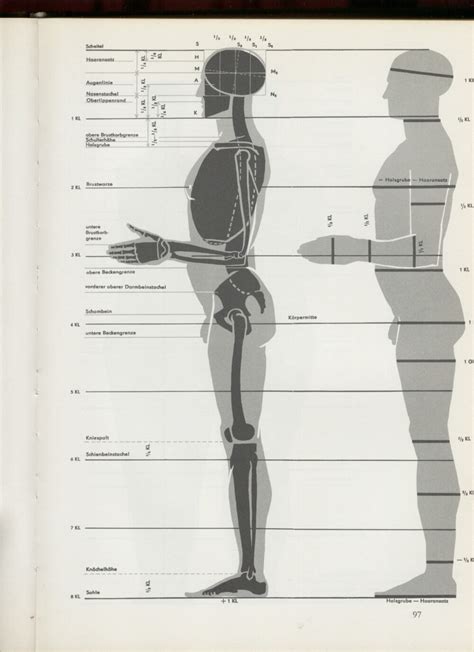 艺用人体解剖资料|资源|花魁小站