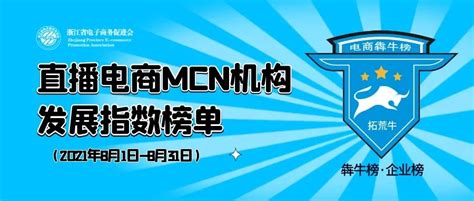 2020年MCN网红经济专题研究_爱运营
