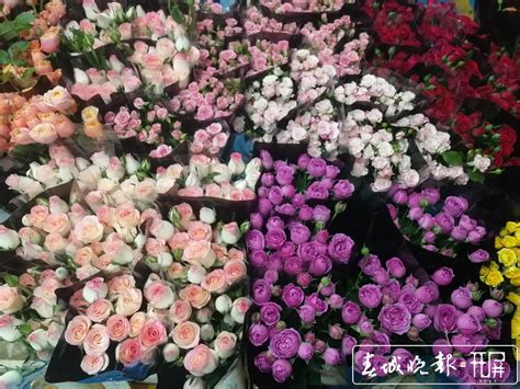 鲜花在哪个平台买便宜点-一朵朵鲜花