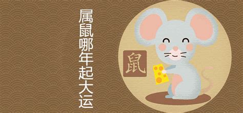 生肖成语之鼠年系列|插画|商业插画|呆喵阿姨 - 原创作品 - 站酷 (ZCOOL)