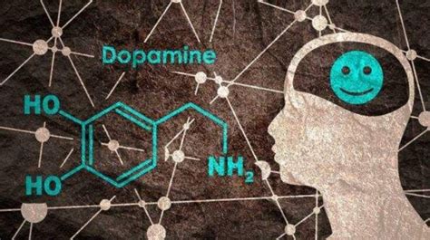 让人快乐的是多巴胺还是内啡肽