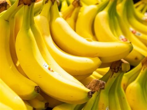 一天最多吃几根香蕉 香蕉能多吃吗 _八宝网