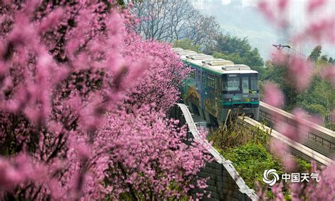 开往春天的列车-高清图集-中国天气网