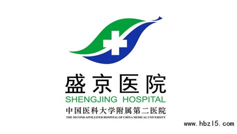 中国医科大学附属盛京医院LOGO设计_空灵LOGO设计公司