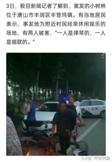 唐山2人在小树林内遇害，唐山警方通报小树林扎伤事件：嫌疑人已被抓获_新浪新闻