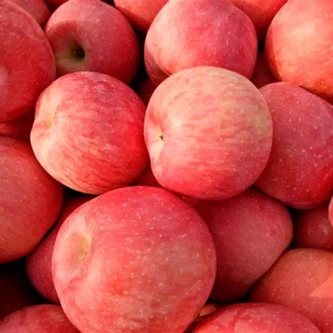 2020年红富士苹果多少钱一斤？春节前后红富士苹果行情分析_阿克苏冰糖心苹果网