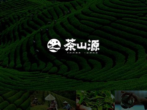 CHA SHAN YUAN | Tea Brand Design 茶山源茶品牌设计_李比鲁Katherine-站酷ZCOOL