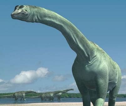 世界上最大的恐龙排名(2)