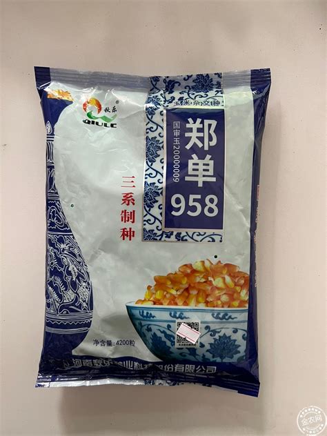 郑单958玉米品种介绍 - 惠农网