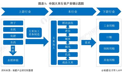 2020年中国大米行业分析报告-市场运营态势与发展前景研究_观研报告网